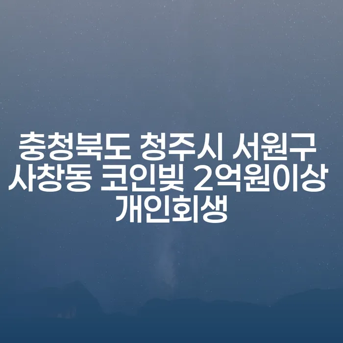 충청북도 청주시 서원구 사창동 코인빚 2억원 이상, 개인회생과 개인파산의 길은?