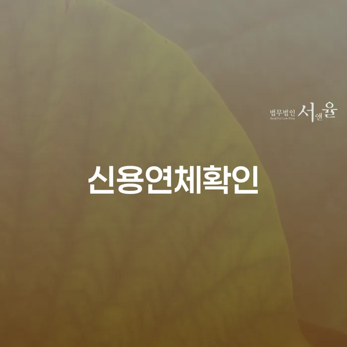 신용연체확인과 안중출장소 개인회생, 어떻게 접근해야 할까요?