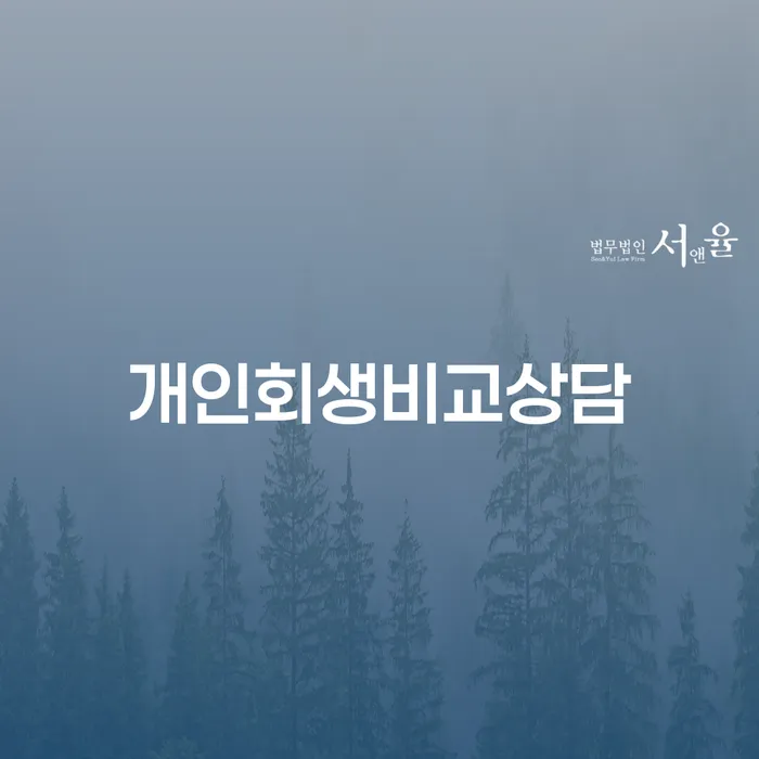 개인회생과 파산, 어떤 선택이 맞을까요?
