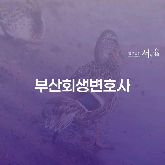 부산회생변호사가 개인회생과 파산을 통해 당신의 경제적 고민을 해결하는 방법은?