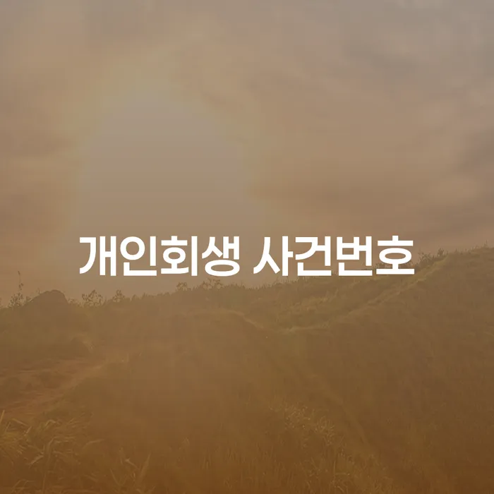 개인회생 사건번호와 개인회생천안을 통해 경제적 안정을 찾아보세요